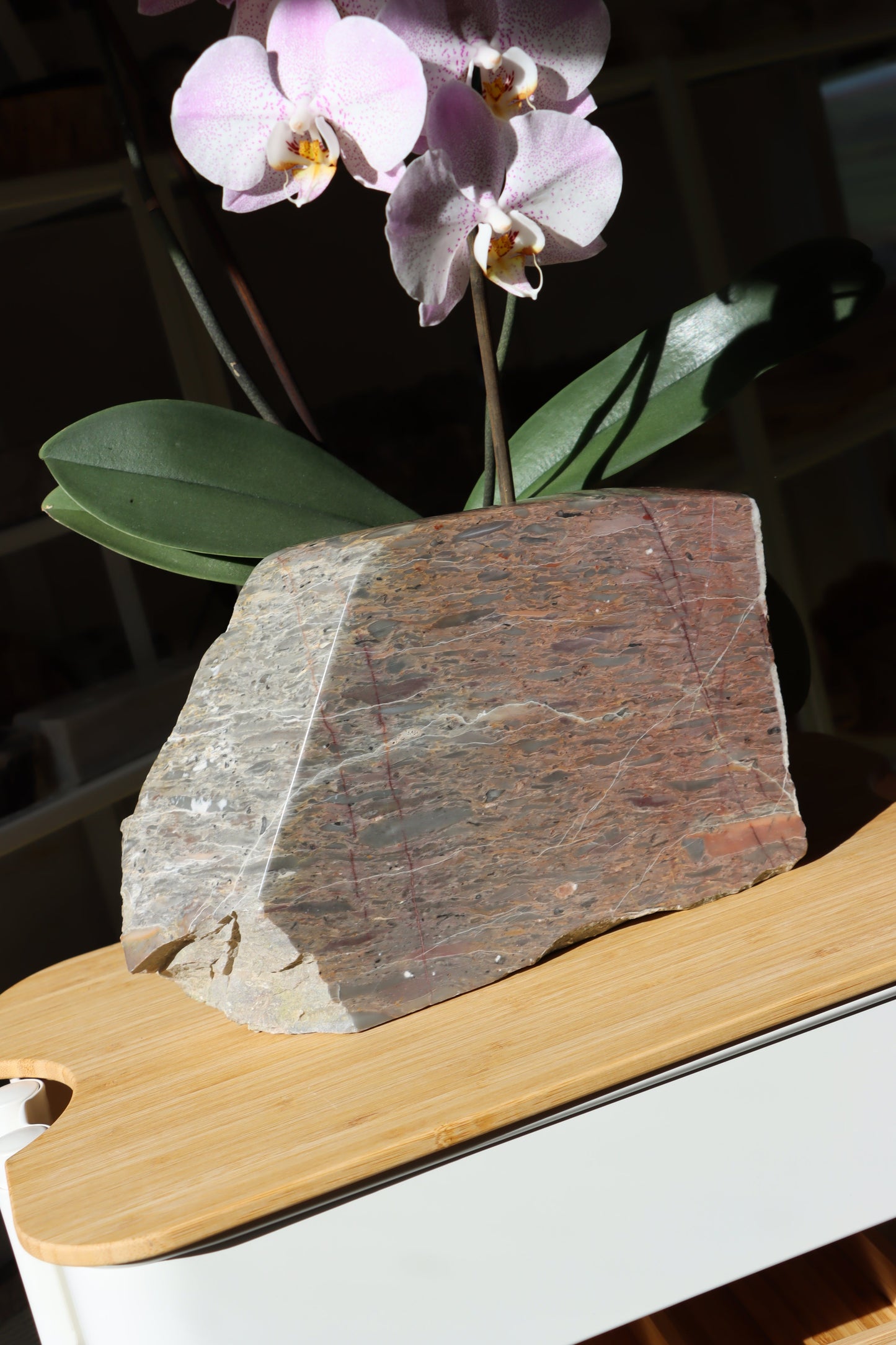 Růžový vápenec se zkamenělinami MONUMENT - Supreme Panthers