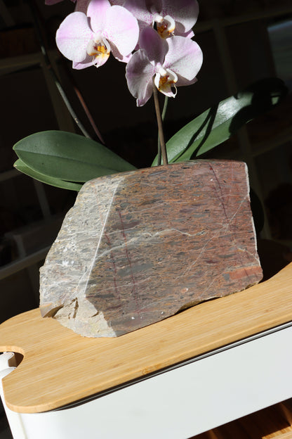 Růžový vápenec se zkamenělinami MONUMENT - Supreme Panthers