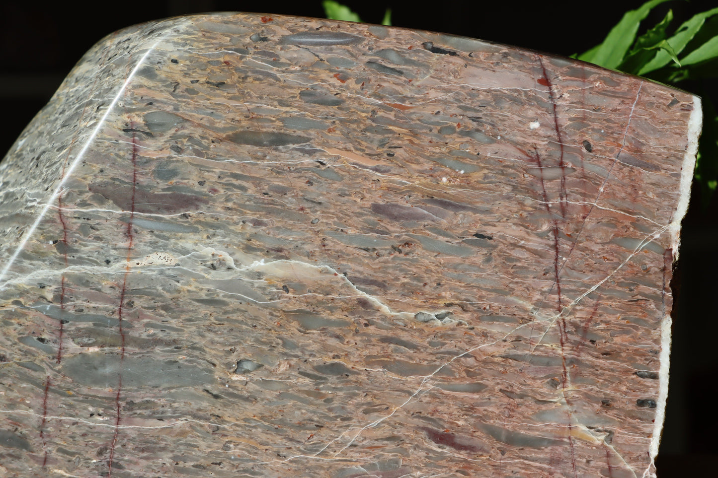 Růžový vápenec se zkamenělinami MONUMENT - Supreme Panthers