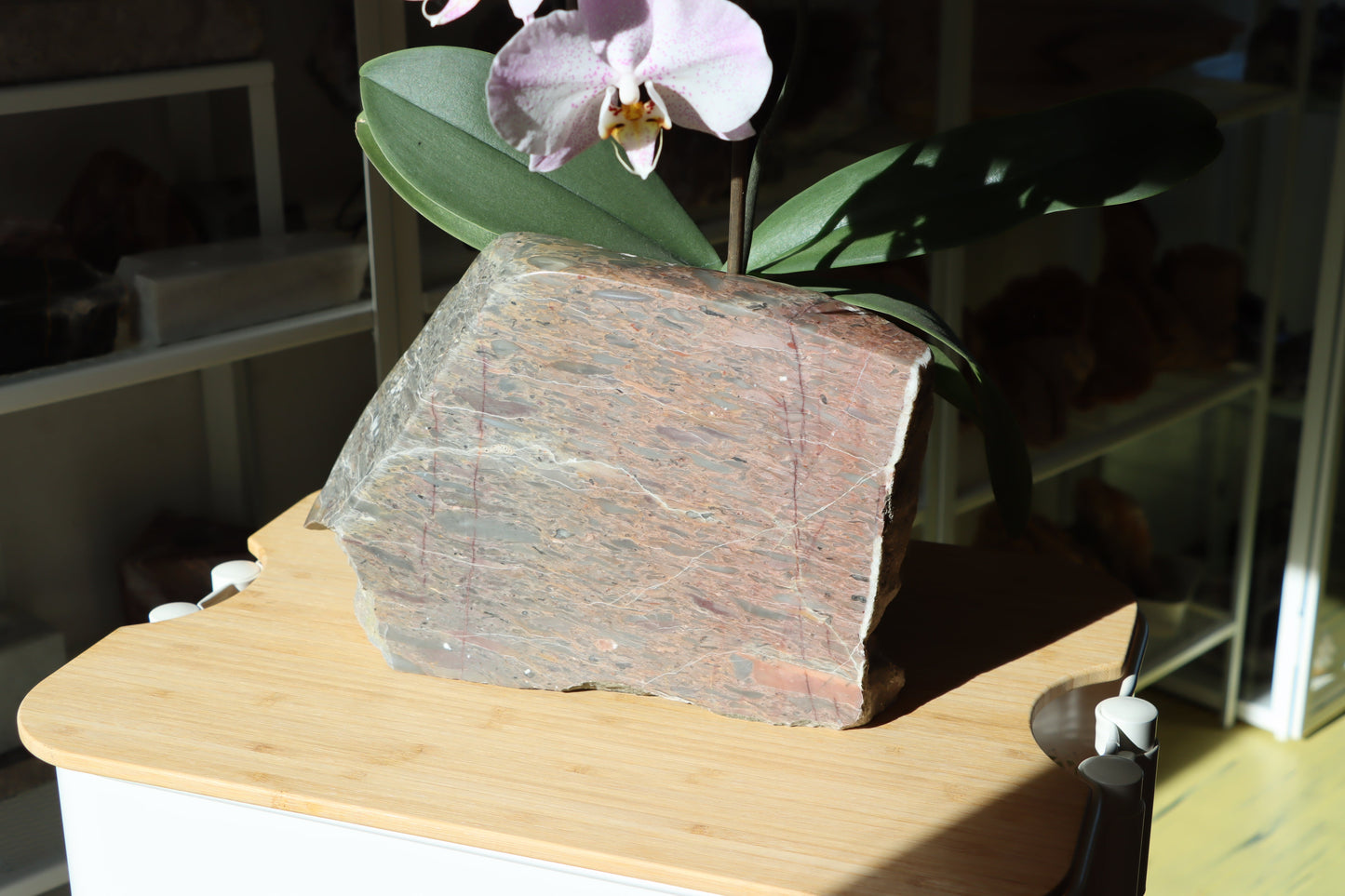 Růžový vápenec se zkamenělinami MONUMENT - Supreme Panthers