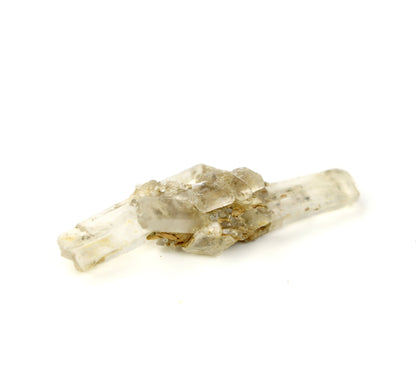 Sádrovec srostlice moravský r. 2025. v plovoucím stojánku - Supreme Panthers