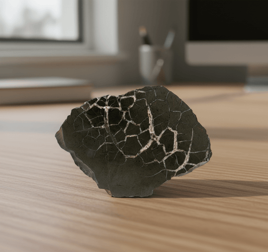 Septárie - pelosideritová konkrece - Supreme Panthers