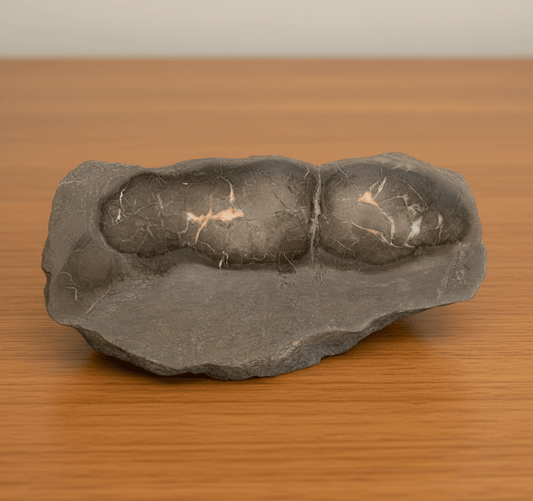 Septárie - pelosideritová konkrece - Supreme Panthers