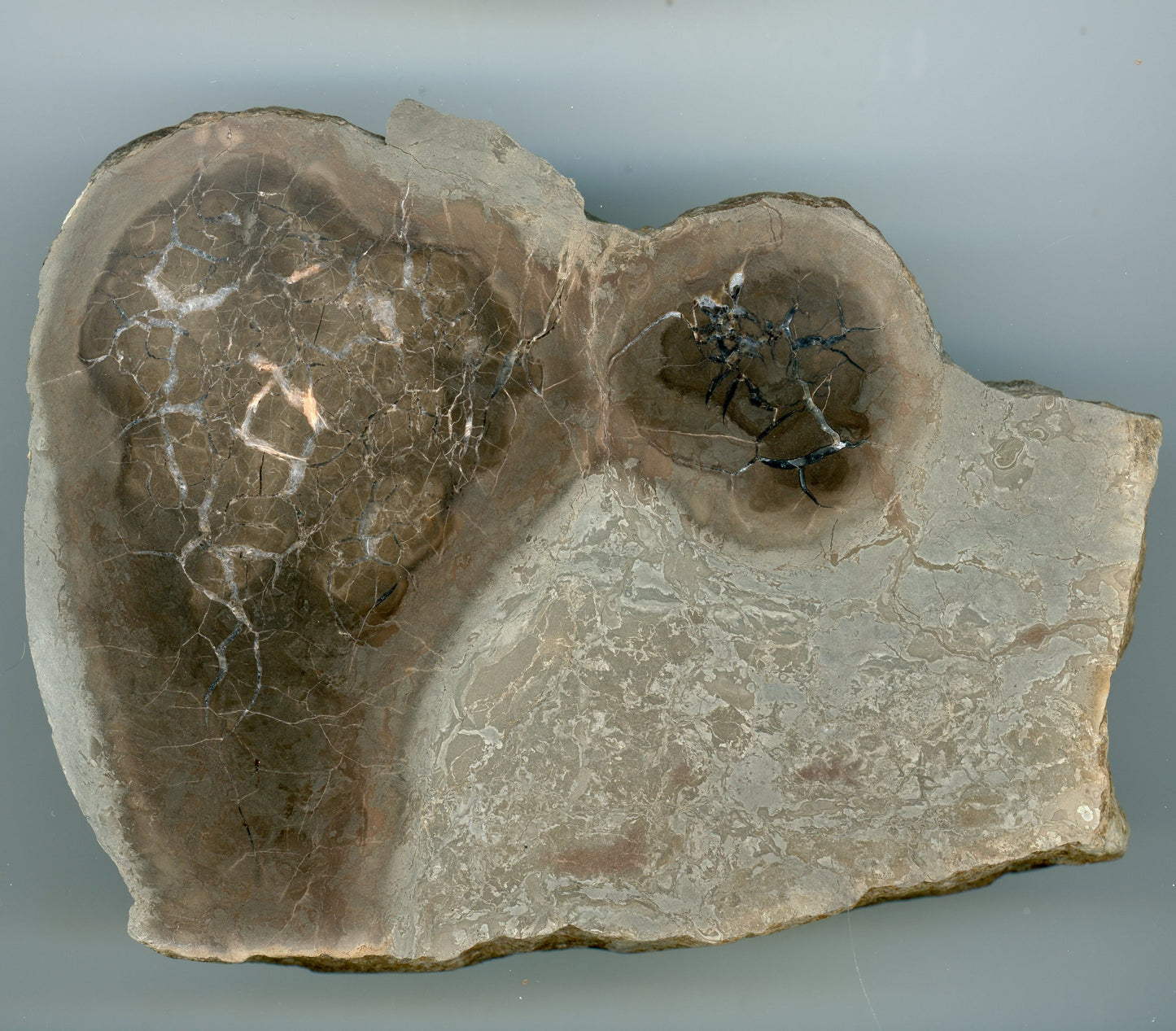 Septárie s kalcitem a barytem - Supreme Panthers