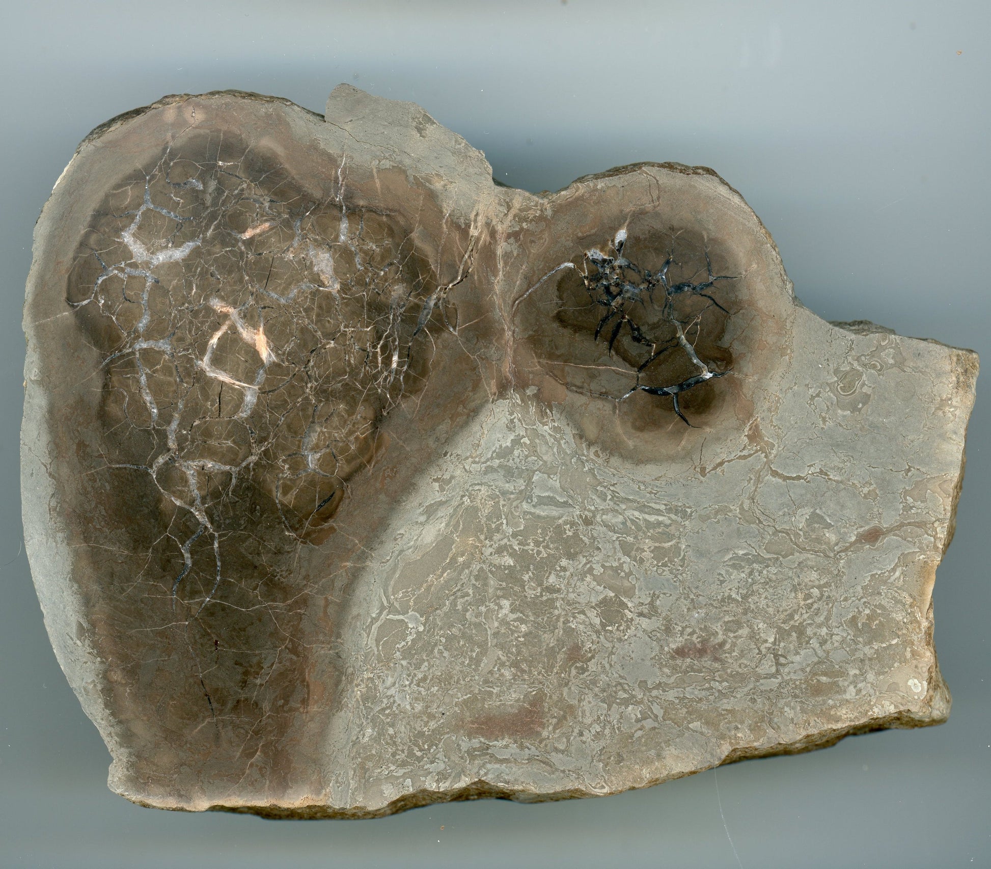 Septárie s kalcitem a barytem - Supreme Panthers