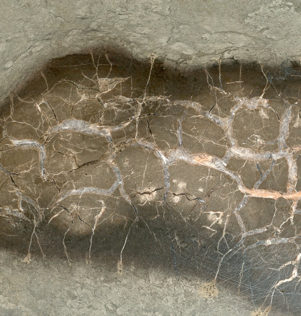 Septárie s kalcitem a barytem - Supreme Panthers