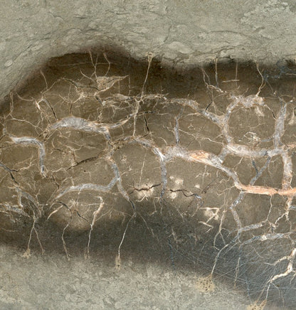 Septárie s kalcitem a barytem - Supreme Panthers