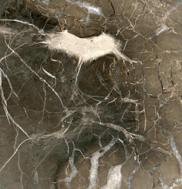 Septárie s kalcitem a barytem - Supreme Panthers