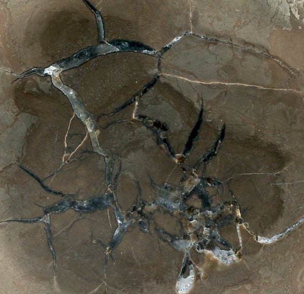 Septárie s kalcitem a barytem - Supreme Panthers