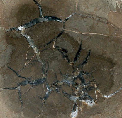 Septárie s kalcitem a barytem - Supreme Panthers