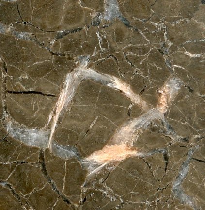 Septárie s kalcitem a barytem - Supreme Panthers