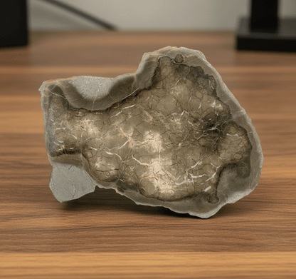 Septárie s kalcitem a barytem "ryba" - Supreme Panthers