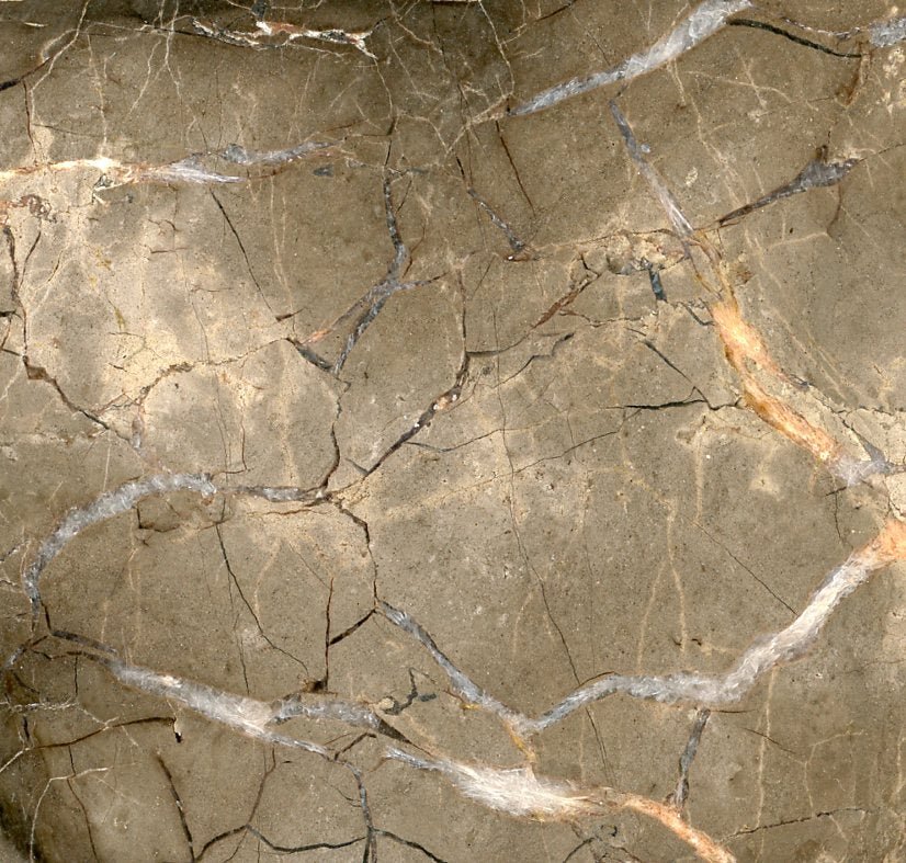 Septárie s kalcitem a barytem "ryba" - Supreme Panthers