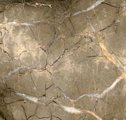 Septárie s kalcitem a barytem "ryba" - Supreme Panthers