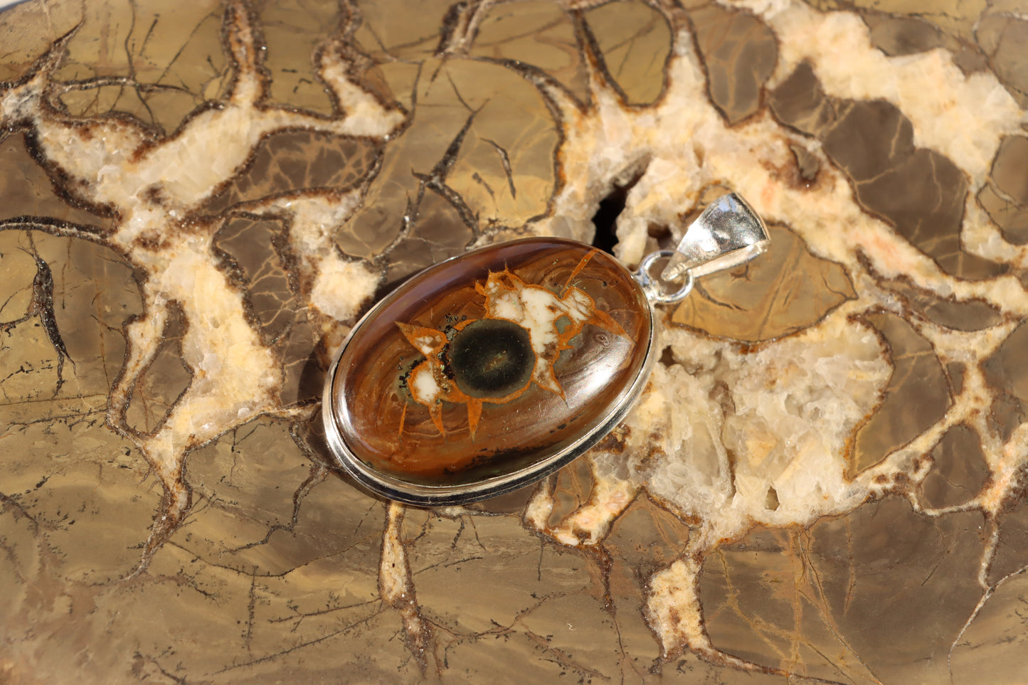 Septárie se zkamenělou kostí – šperk s fosilní pamětí a tváří fantazie - Supreme Panthers