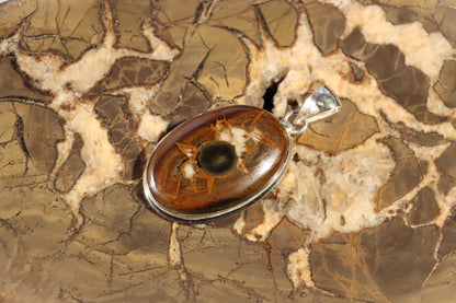 Septárie se zkamenělou kostí – šperk s fosilní pamětí a tváří fantazie - Supreme Panthers