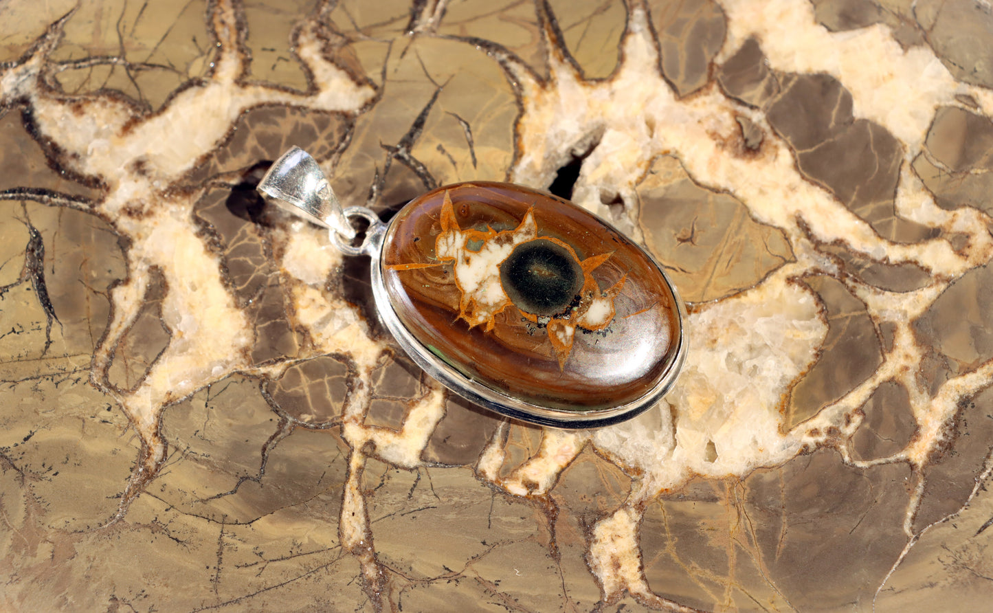 Septárie se zkamenělou kostí – šperk s fosilní pamětí a tváří fantazie - Supreme Panthers