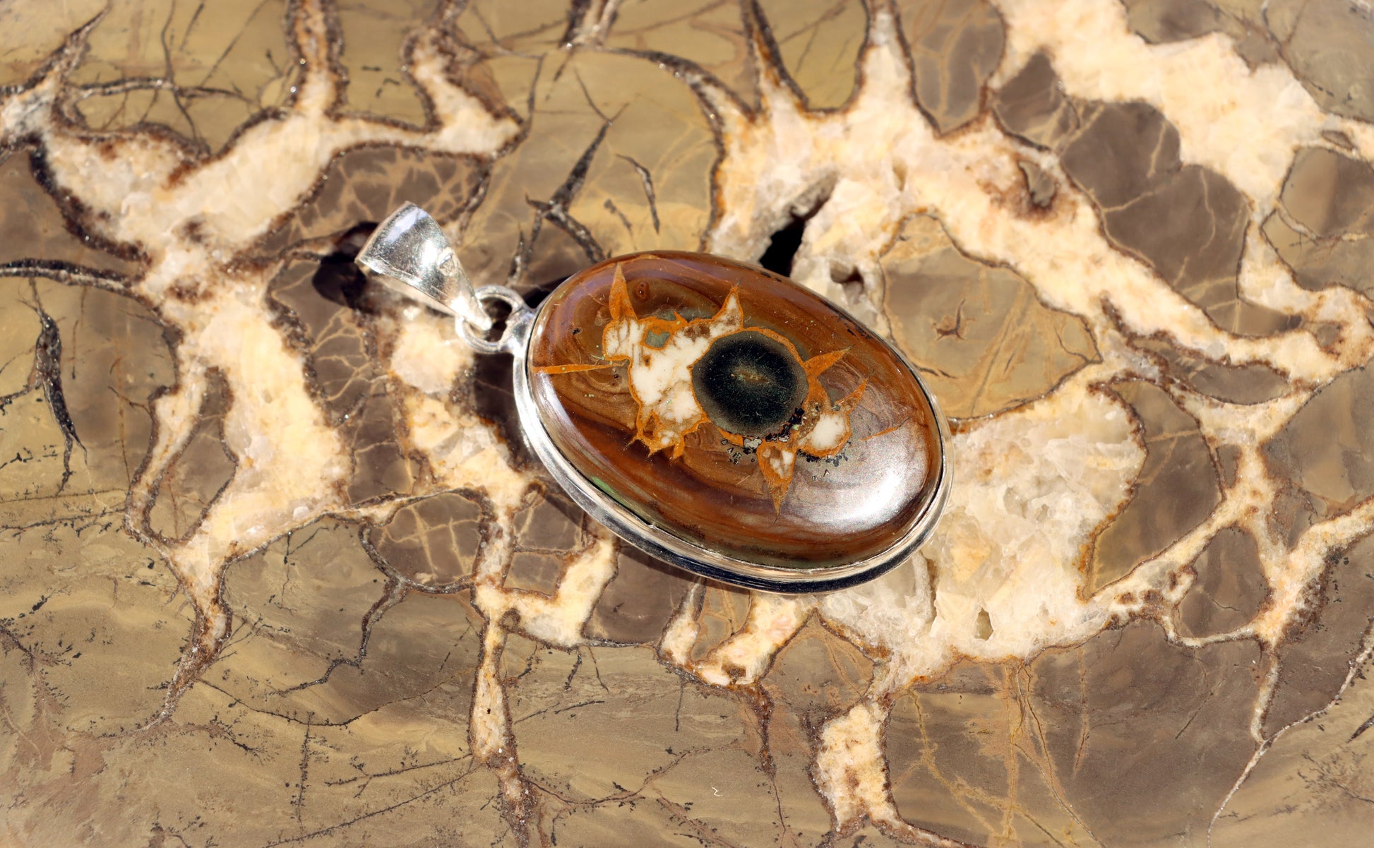 Septárie se zkamenělou kostí – šperk s fosilní pamětí a tváří fantazie - Supreme Panthers