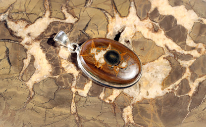 Septárie se zkamenělou kostí – šperk s fosilní pamětí a tváří fantazie - Supreme Panthers