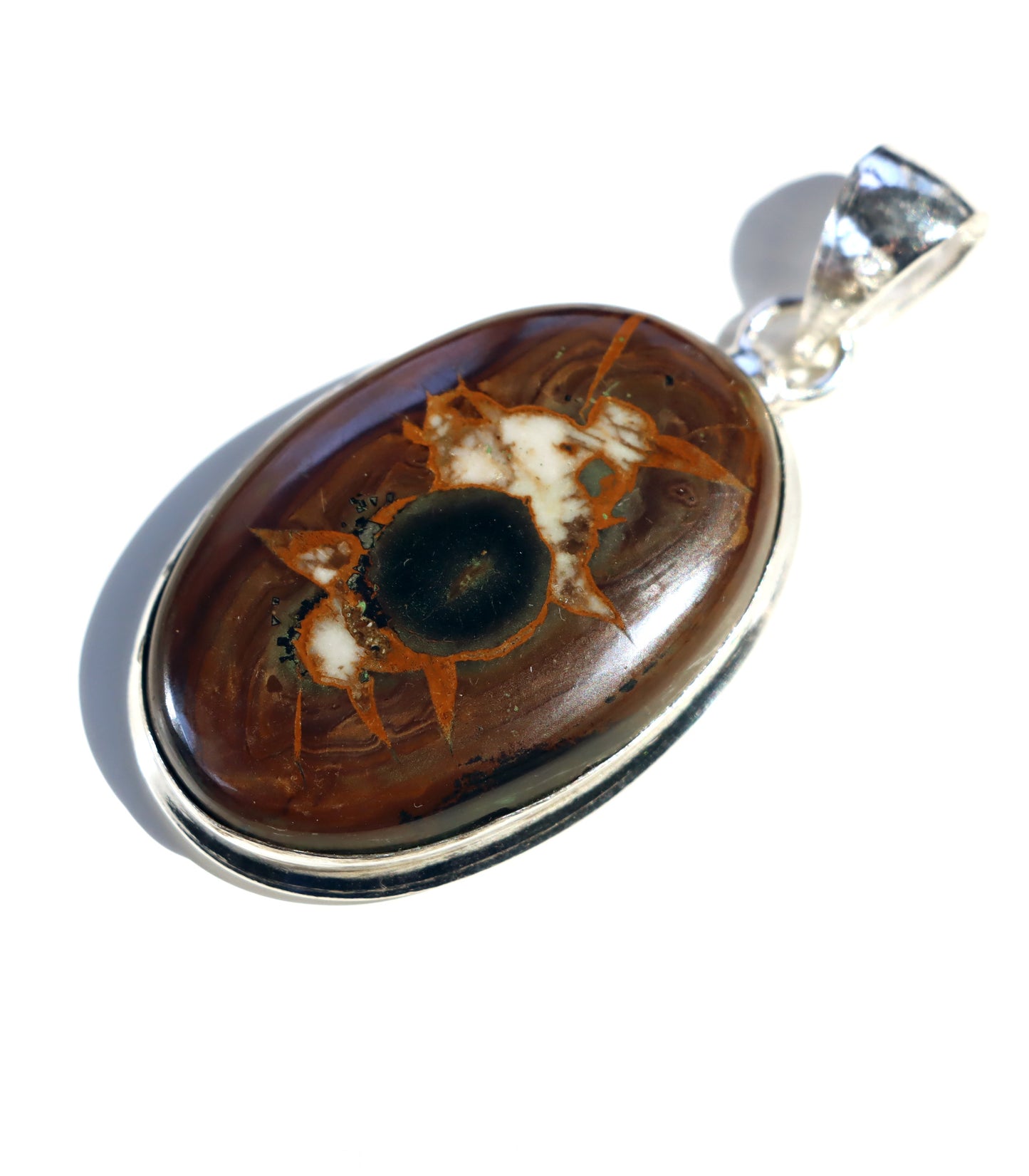 Septárie se zkamenělou kostí – šperk s fosilní pamětí a tváří fantazie - Supreme Panthers