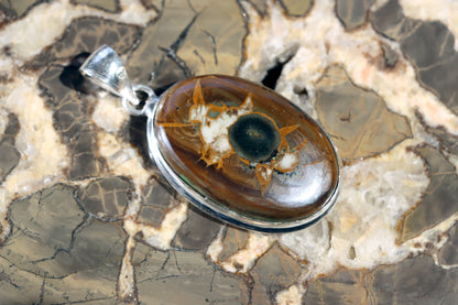 Septárie se zkamenělou kostí – šperk s fosilní pamětí a tváří fantazie - Supreme Panthers