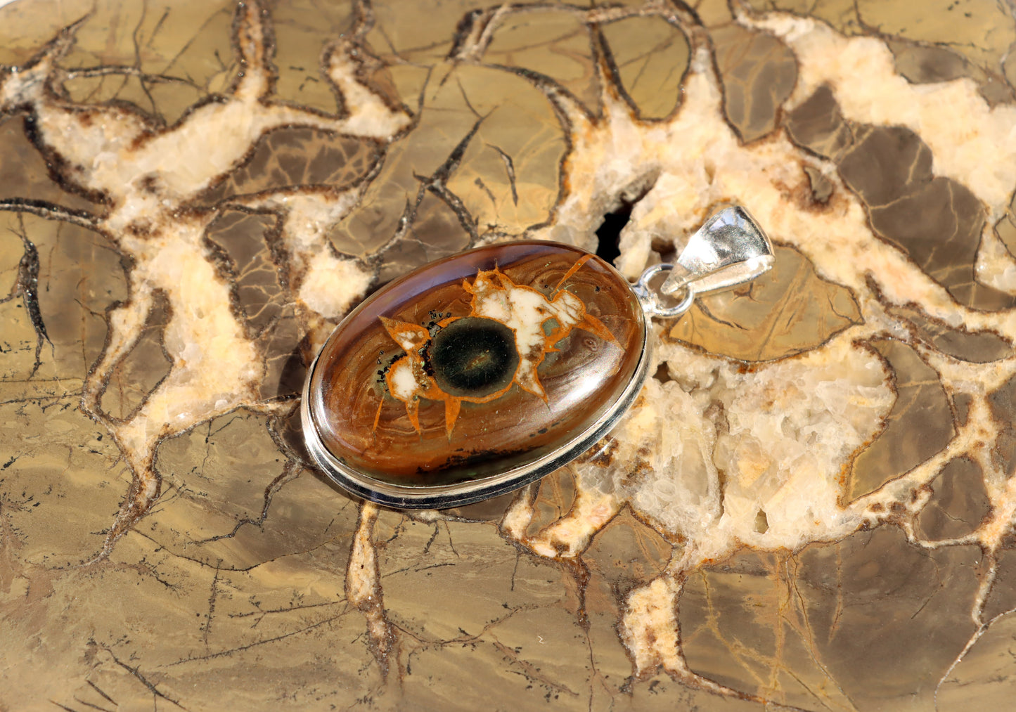 Septárie se zkamenělou kostí – šperk s fosilní pamětí a tváří fantazie - Supreme Panthers