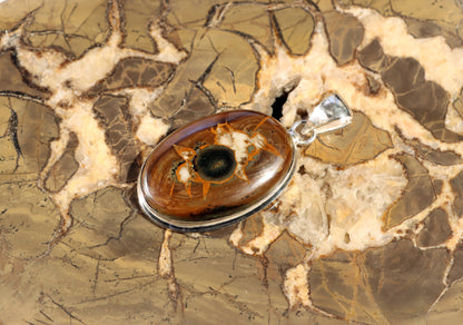 Septárie se zkamenělou kostí – šperk s fosilní pamětí a tváří fantazie - Supreme Panthers