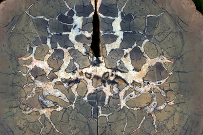 Septárie - "vlašský ořech" - Supreme Panthers