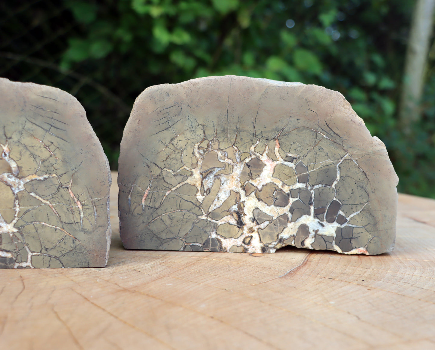 Septárie - "vlašský ořech" - Supreme Panthers