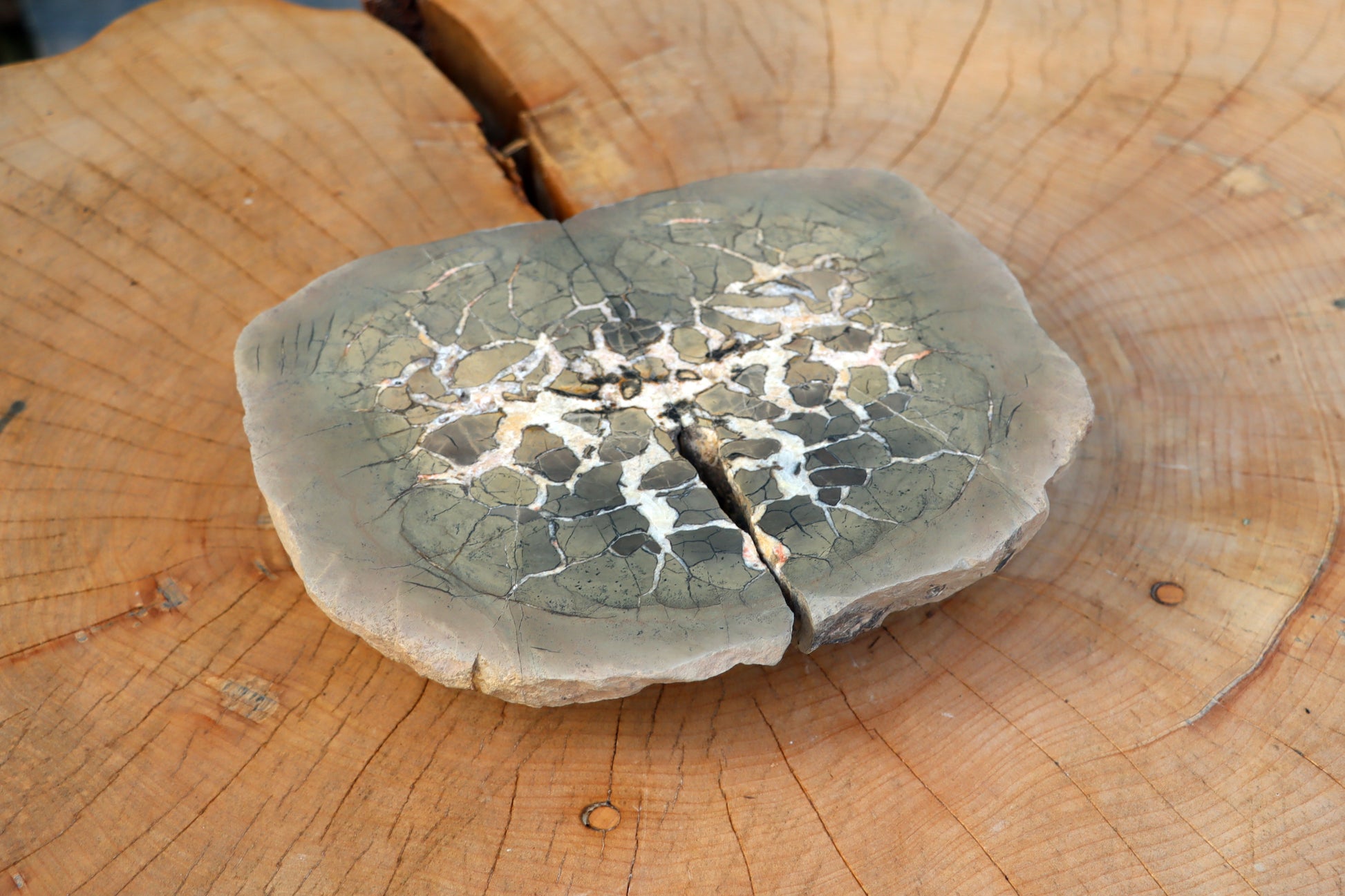 Septárie - "vlašský ořech" - Supreme Panthers