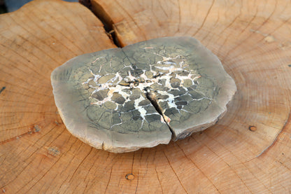 Septárie - "vlašský ořech" - Supreme Panthers