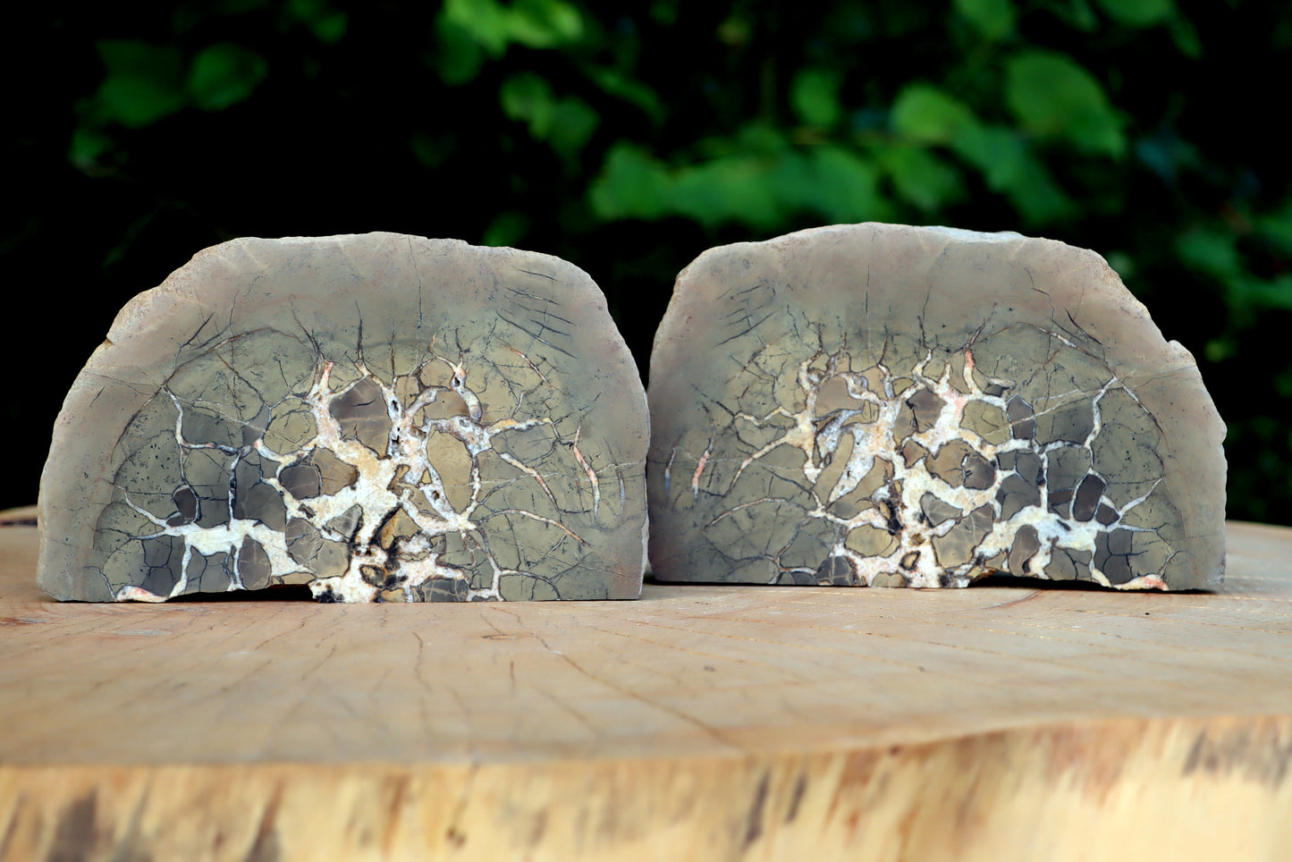 Septárie - "vlašský ořech" - Supreme Panthers