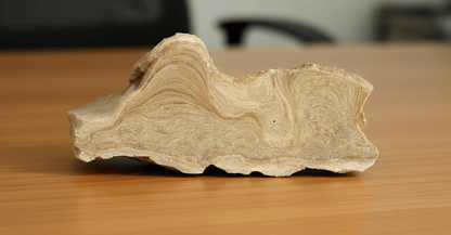 Sintr, leštěný plátek - Supreme Panthers