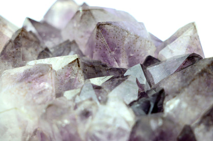 Sluníčka sagenitu v ametystové drúze - Supreme Panthers