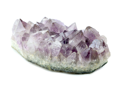 Sluníčka sagenitu v ametystové drúze - Supreme Panthers