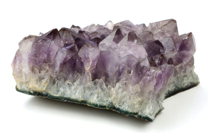 Sluníčka sagenitu v ametystové drúze - Supreme Panthers