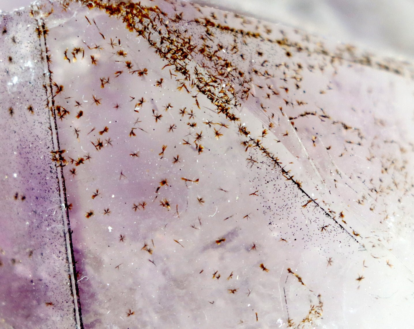 Sluníčka sagenitu v ametystové drúze - Supreme Panthers