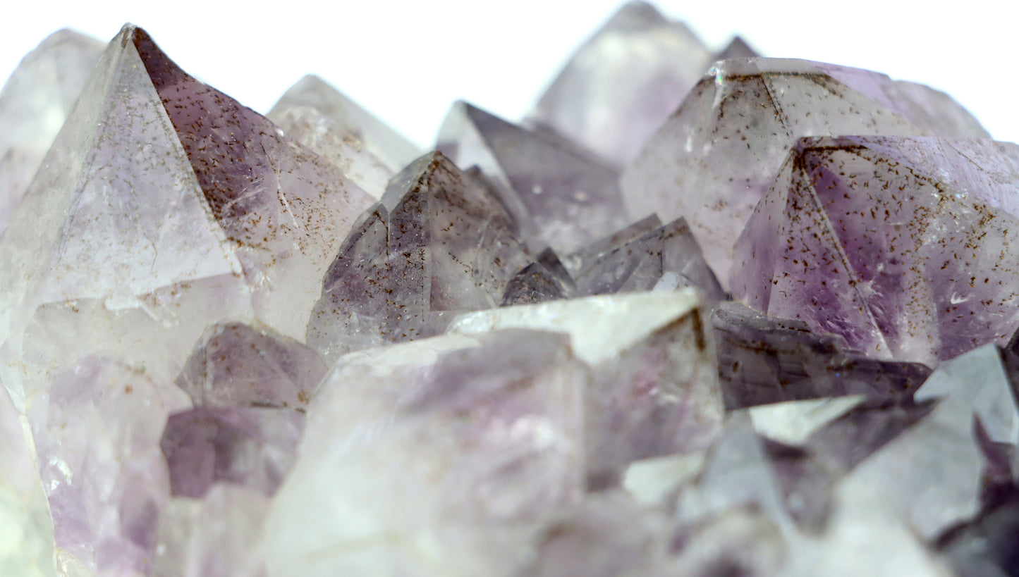 Sluníčka sagenitu v ametystové drúze - Supreme Panthers