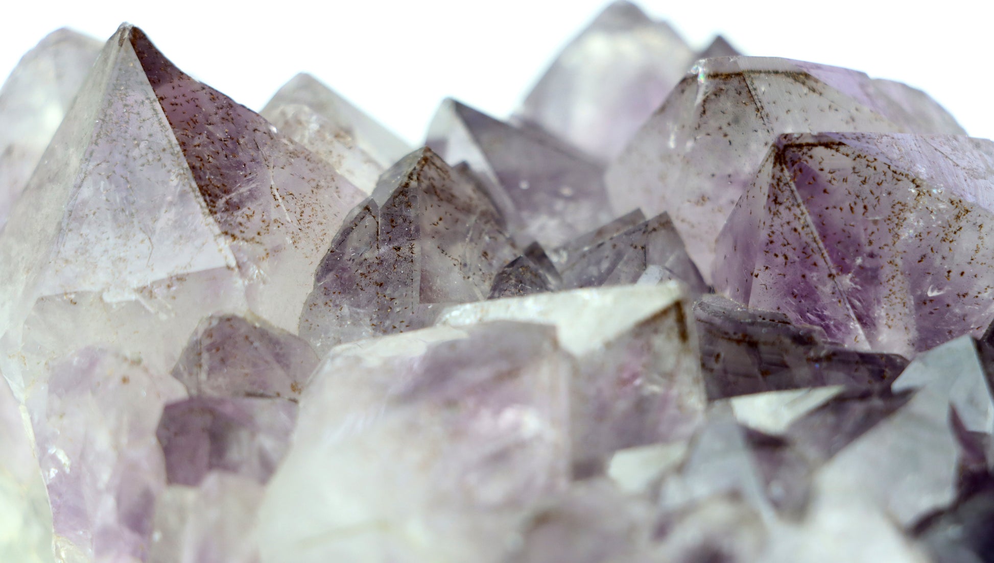 Sluníčka sagenitu v ametystové drúze - Supreme Panthers