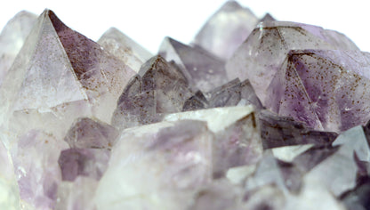 Sluníčka sagenitu v ametystové drúze - Supreme Panthers