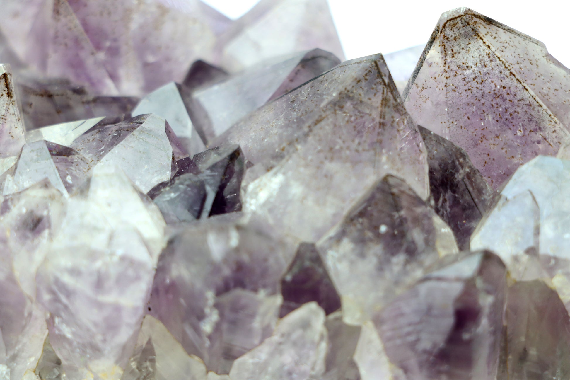 Sluníčka sagenitu v ametystové drúze - Supreme Panthers