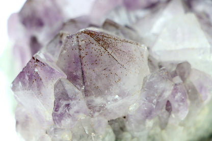 Sluníčka sagenitu v ametystové drúze - Supreme Panthers