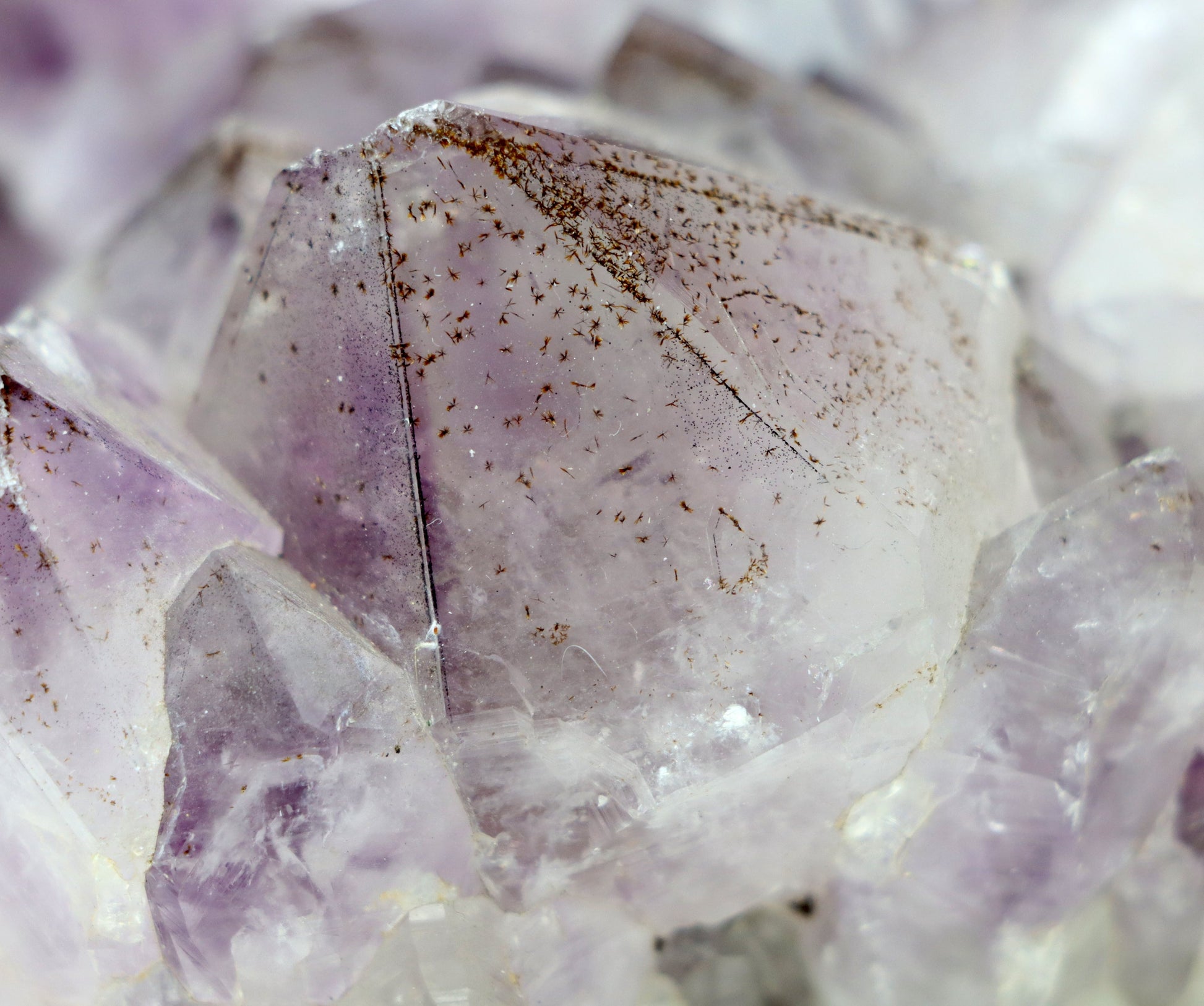 Sluníčka sagenitu v ametystové drúze - Supreme Panthers