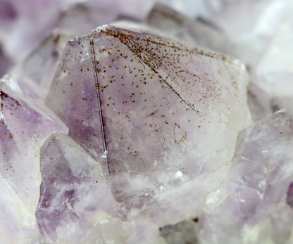 Sluníčka sagenitu v ametystové drúze - Supreme Panthers