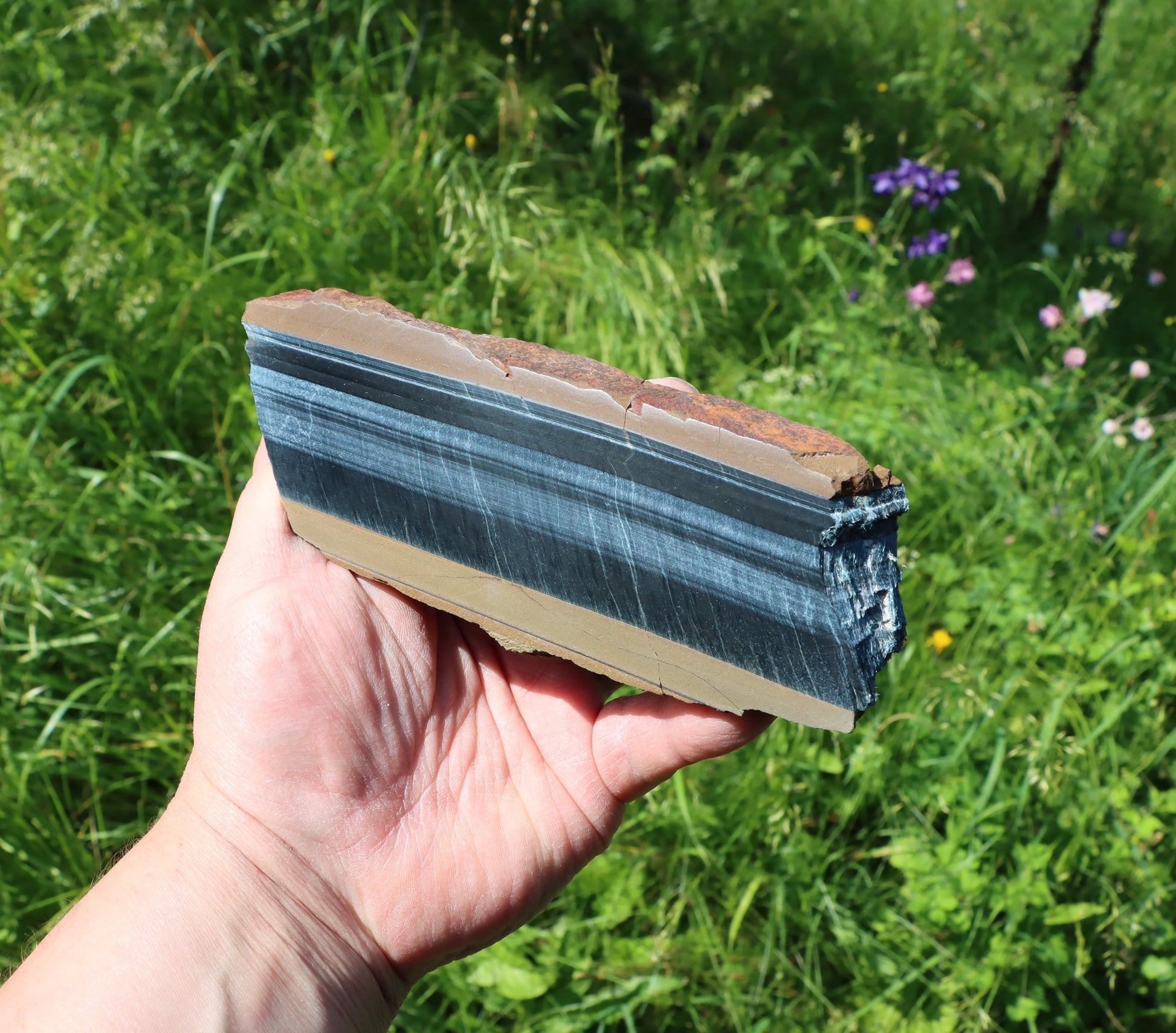 Sokolí oko leštěné - Supreme Panthers