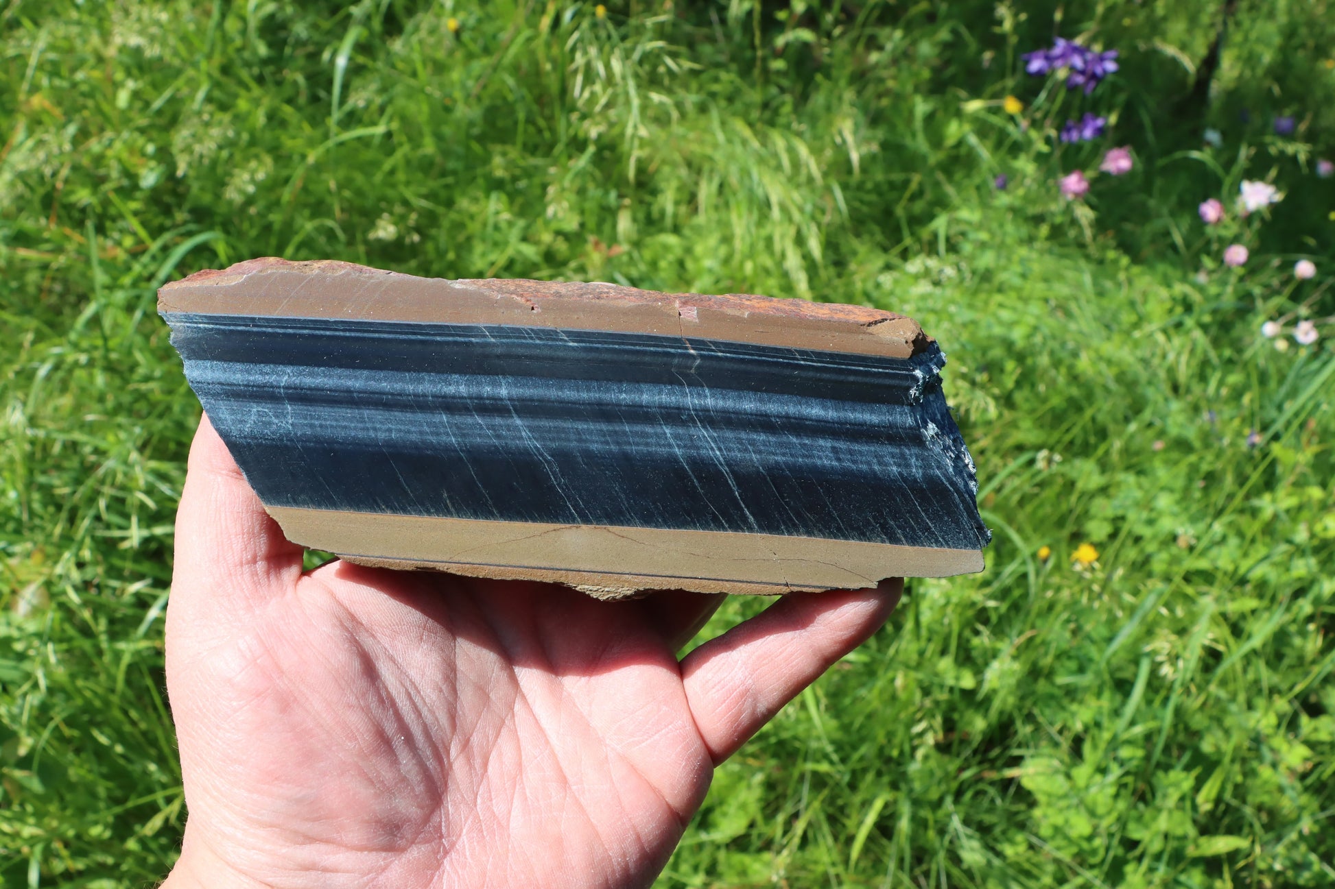 Sokolí oko leštěné - Supreme Panthers