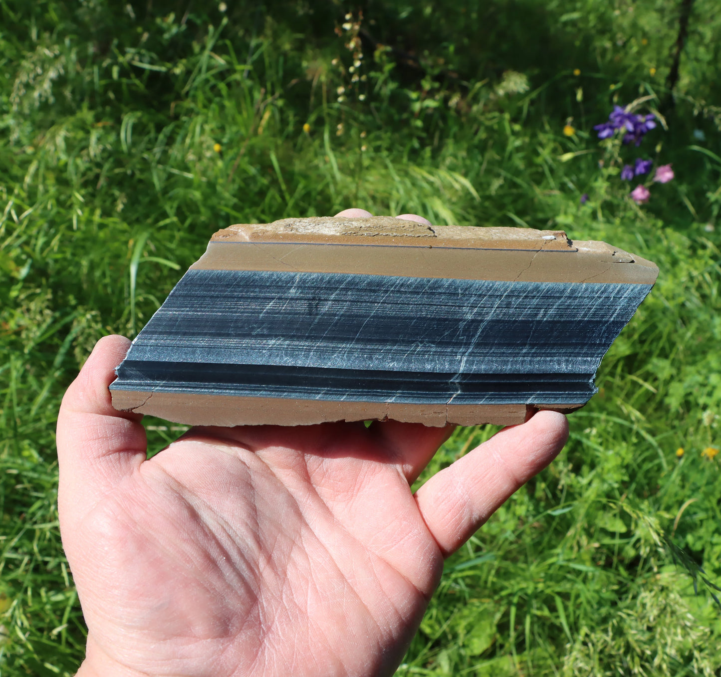 Sokolí oko leštěné - Supreme Panthers