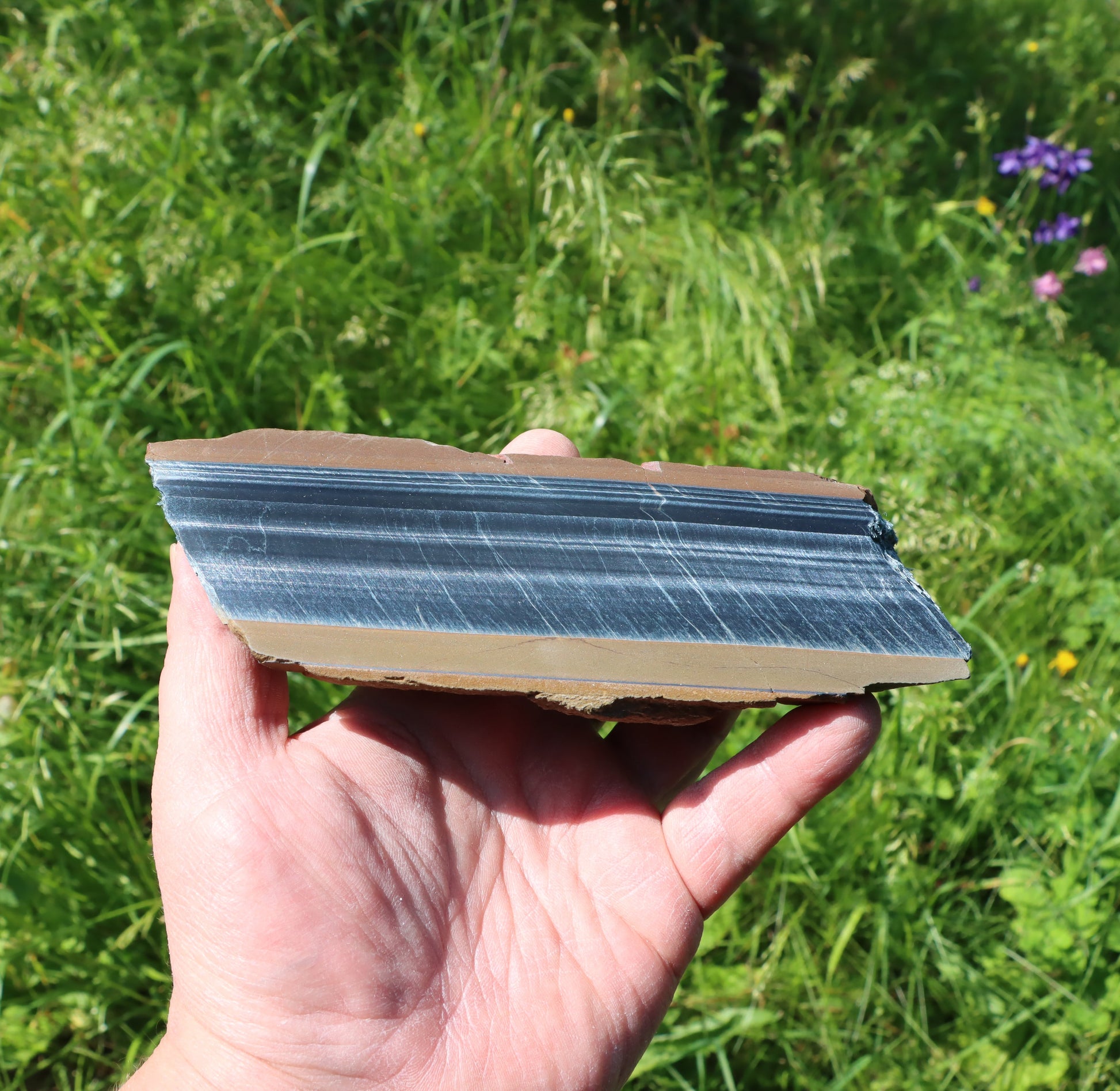 Sokolí oko leštěné - Supreme Panthers