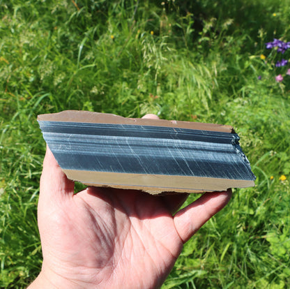 Sokolí oko leštěné - Supreme Panthers