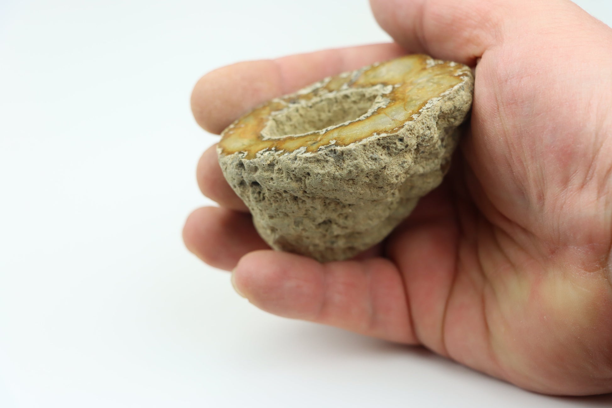 Solitérní korál/jurský rohovec leštěný - Supreme Panthers